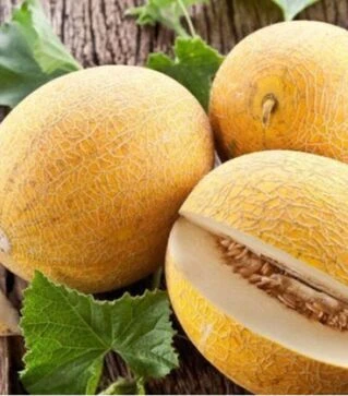 Насіння дині Баллу, п.о. 1 тис. насінин (MRT Seeds)