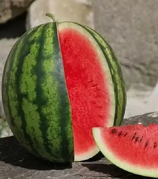 Семена арбуза Эрли Джитана, п.е. 1 тыс. семян (United Genetiks)