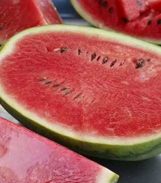 Семена арбуза Эрли Саманта F1, п.е. 1 тыс. семян (United Genetiks)