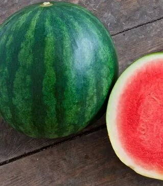 Семена арбуза Линкс, п.е. 500 семян (Hazera)