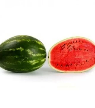 Семена арбуза Морган F1, п.е. 1 тыс. семян (Rijk Zwaan)