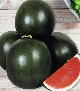 Насіння кавуна Ромерія F1, п.о. 1 тис. насінин (United Genetiks)