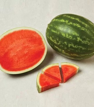 Насіння кавуна Фасінейшн F1, п.о. 1 тис. насінин (Syngenta)