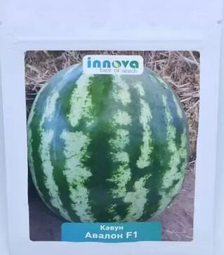 Насіння кавуна Авалон F1, п.о. 1000 насінин (Innova Seeds)
