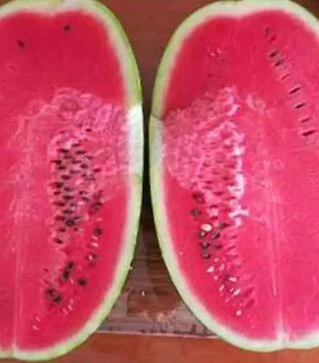 Семена арбуза Ромина F1, п.е. 1000 семян (Cora Seeds)