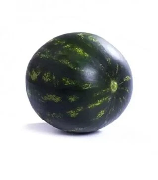 Семена арбуза Лузитана F1, п.е. 1000 семян (Rijk Zwaan)