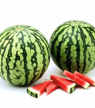 Семена арбуза Оцелот F1, п.е. 500 семян (Hazera)