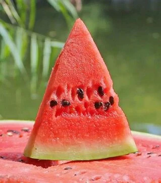 Семена арбуза Маракеш F1, п.е. 500 семян (Ergon)