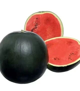 Насіння кавуна Фаєр Бол F1, п.о. 1000 насінин (Sakata)