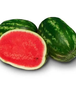 Насіння кавуна Юта F1, п.о. 1000 насінин (Spark Seeds)