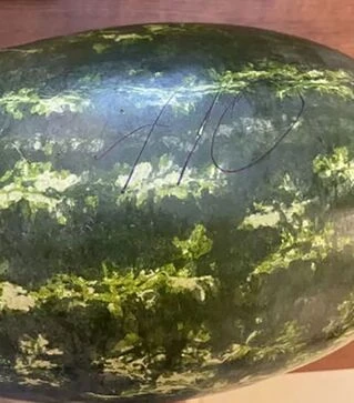 Насіння кавуна W410 F1, п.о. 1000 насінин (Spark Seeds)