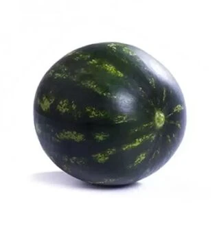 Семена арбуза Лузитана F1, п.е. 100 семян (Rijk Zwaan)