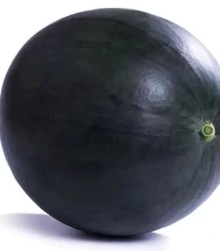 Насіння кавуна Тропікал Саншайн F1, п.о. 100 насінин (Rijk Zwaan)