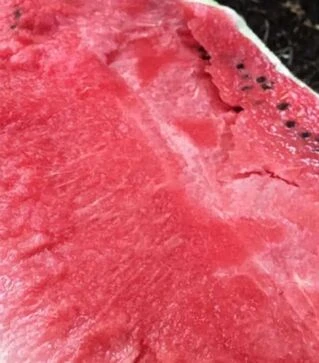 Семена арбуза Бьютифул F1, п.е. 1 тыс. семян (Spark Seeds)