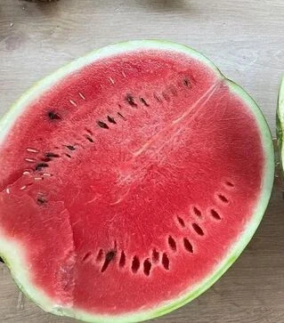 Насіння кавуна Ред Беррі F1, п.о. 1 тис. насінин (Spark Seeds)