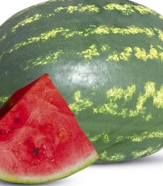 Насіння кавуна ES 75127 F1, п.о. 1 тис. насінин (Ergon)