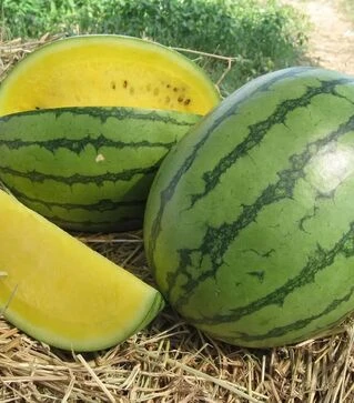 Семена арбуза Елов Лав F1, п.е. 1 тыс. семян (Clause)