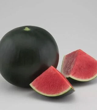 Семена арбуза Морена F1, п.е. 1 тыс. семян (Syngenta)