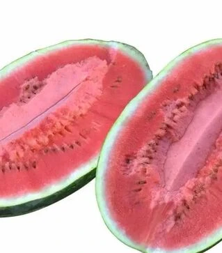 Семена арбуза Виллинг F1, п.е. 1 тыс. семян (Spark Seeds)