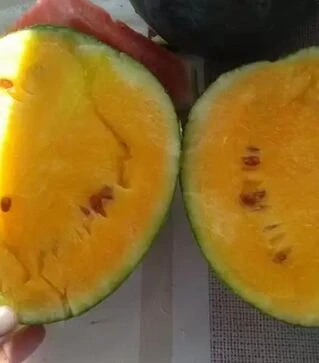 Семена арбуза Примаоранж F1, п.е. 100 семян (Semo)