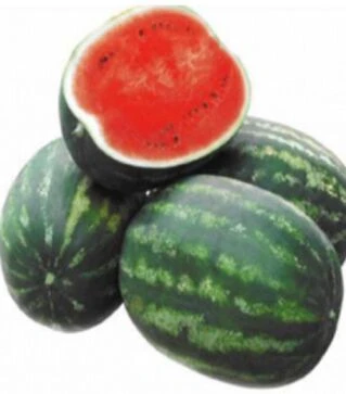 Семена арбуза Кримсон Руби F1, п.о. 100 семян (Sakata)