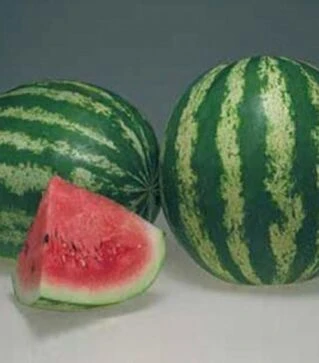 Насіння кавуна Кримсон Світ, 0,5 кг (Hollar Seeds)