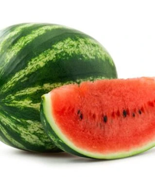 Насіння кавуна Ланса F1, п.о. 1 тис. насінин (Hollar Seeds)