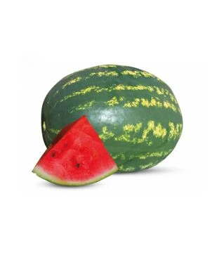 Насіння кавуна ES 75127 F1, п.о. 100 насінин (Ergon Seed)