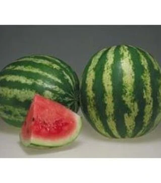 Насіння кавуна Кримсон Світ, 5 кг (ZKI)