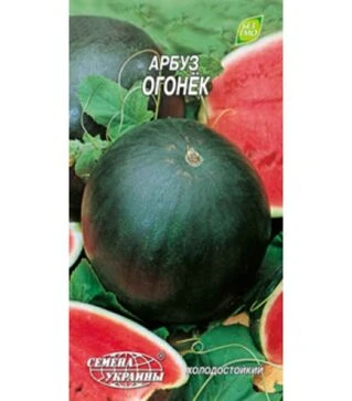 Насіння кавуна Огоньок, 1 г (Насіння України)