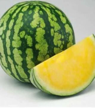 Семена арбуза Пекин F1, п.о. 1 тыс. семян (Nunhems)