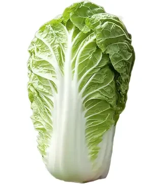 Насіння пекінської капусти Маноко F1, п.о. 2,5 тис. насінин (Bejo)