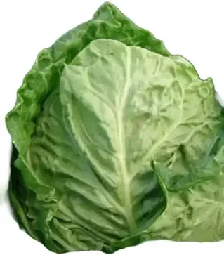 Насіння савойської капусти Рана Жлута, 1 кг (Moravoseed)