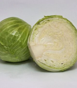 Семена белокочанной капусты Ритейл F1, п.е. 1 тыс. семян (Libra Seeds)