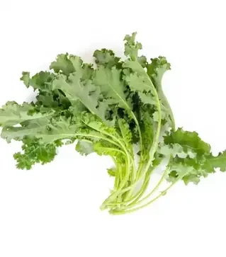 Семена листовой капусты Карилло F1, п.е. 1 тыс. семян (Rijk Zwaan)