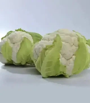 Насіння цвітної капусти Місора F1, п.о. 1 тис. насінин (Kitano Seeds)