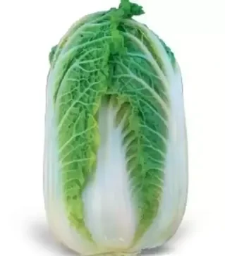 Насіння пекінської капусти Орієнт Стар F1, п.о. 2,5 тис. насінин (Takii Seed)