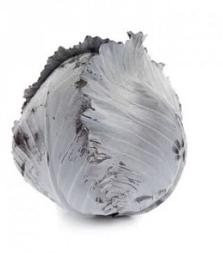 Семена красноголовой капусты Рексома F1, п.е. 1 тыс. семян (Rijk Zwaan)