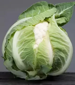 Семена цветной капусты Ардент F1, п.е. 2500 семян (Clause)