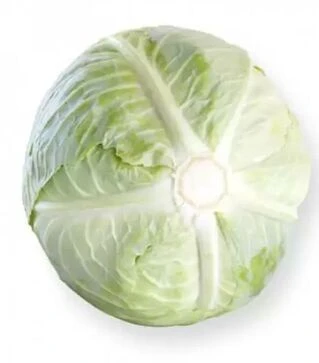 Насіння білоголової капусти Септіма F1, п.о. 1 тис. насінин (Rijk Zwaan)