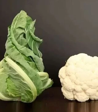 Насіння цвітної капусти  Вітон F1, п.о. 1 тис. насінин (Sakata)