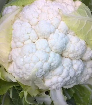 Насіння цвітної капусти Кренік F1, п.о. 2,5 тис. насінин (Enza Zaden)