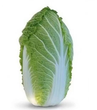 Семена пекинской капусты КС 340 F1, п.е. 2,5 тыс. семян (Kitano Seeds)