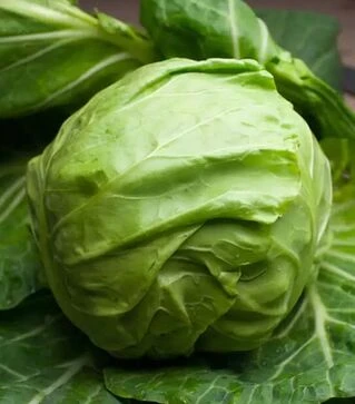 Насіння білоголової капусти Міррор F1, п.о. 2,5 тис. насінин (Syngenta)