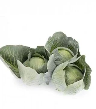 Семена капусты Владимира F1, п.е. 2500 семян (Rijk Zwaan)