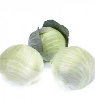 Семена капусты Владимира F1, п.е. 2500 семян (Rijk Zwaan)