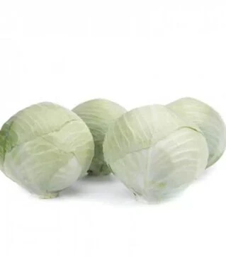 Семена капусты Владимира F1, п.е. 2500 семян (Rijk Zwaan)