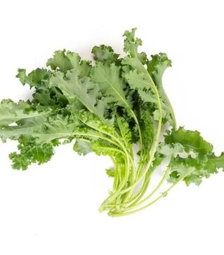 Насіння капусти Карілло F1,  п.о. 2500 насінин (Rijk Zwaan)