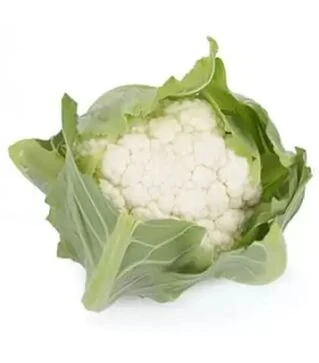 Насіння капусти Вітуррі F1, п.о. 2500 насінин (Rijk Zwaan)