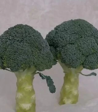 Семена капусты Хронос F1, п.е. 1000 семян (Sakata)